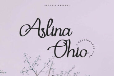 Aslina Ohio Font