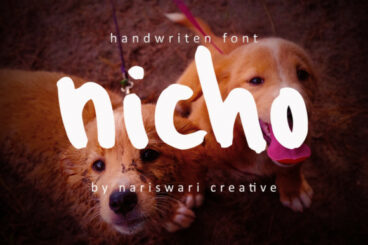 Nicho Font