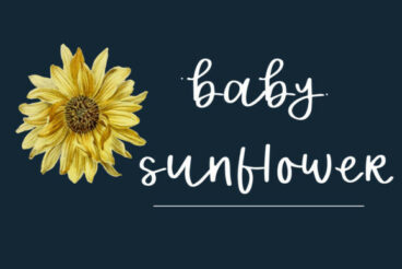 Baby Sunflower Font