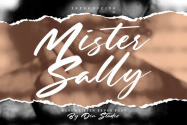 Mister Sally Font