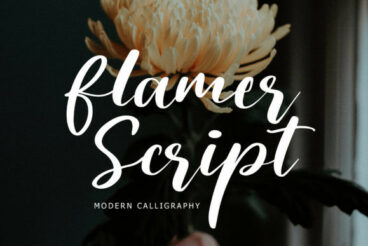 Flamer Script Font