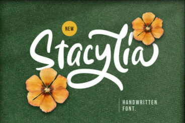 Stacylia Font