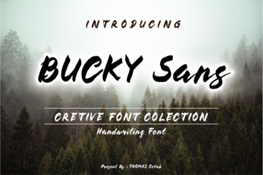 Bucky Font