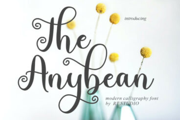 The Anybean Font