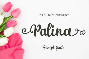 Palina Font