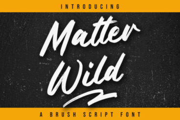 Matter Wild Font