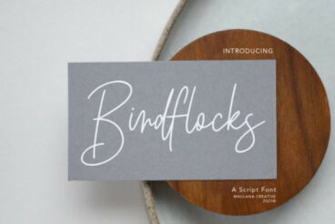 Birdflocks Font
