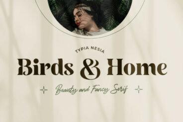 Birds and Home Font