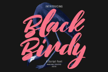 Black Birdy Font