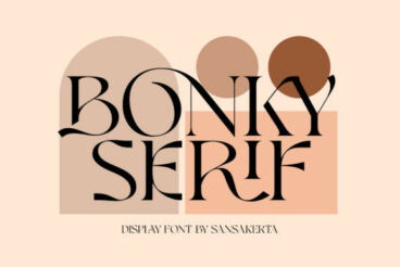 Bonky Serif Font