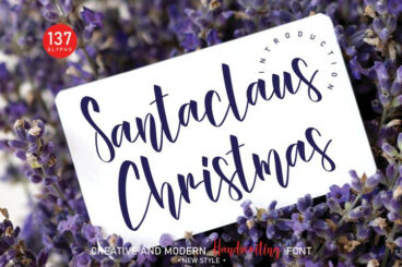 Santaclaus Christmas