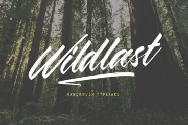 Wildlast Font