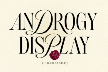 Androgy Display Font