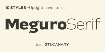 Meguro Serif Font Family