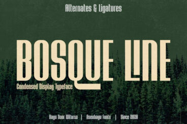 Bosque Line Font