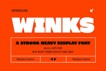 Winks Font