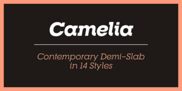 RNS Camelia Font Family - 14 Fonts