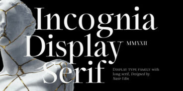 Incognia - 10 Fonts