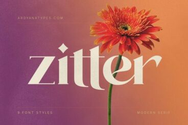 Zitter Decorative Serif Font