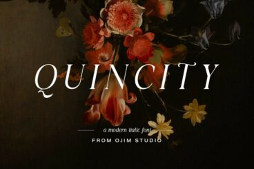 Quincity Font