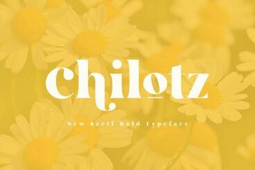 Chilotz | Serif Bold Typeface
