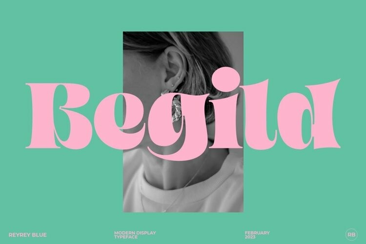 Begild font free font