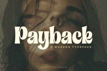 Payback - Modern Serif Font