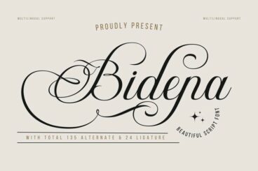 Bidena | Script Font