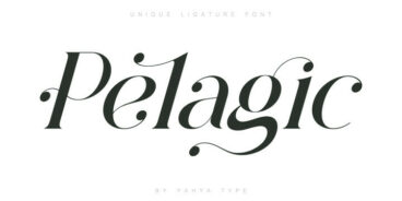 Pelagic Bird Font Family