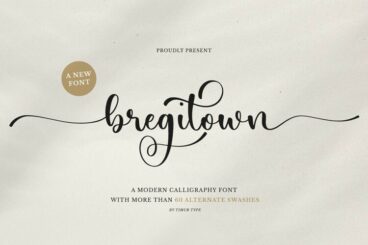 Bregitwon -Modern Calligraphy font