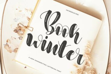 Book Winter Font