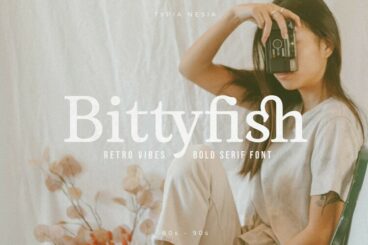 Bittyfish - Retro Vibes Bold Serif