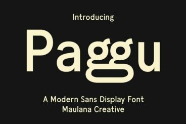 Paggu Sans Display Font