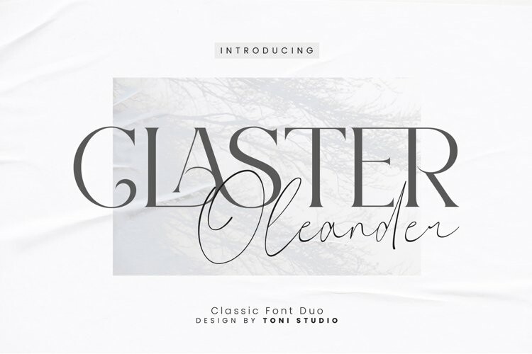 Claster Oleander Ligature Serif - Font Duo - Free Font