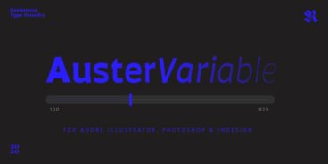 Auster Variable Font Family