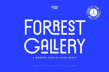 Forrest Gallery Modern Display Font