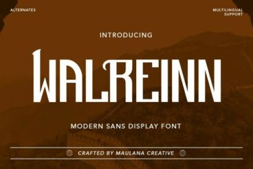 Walreinn Modern Sans Display Font