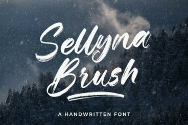 Sellyna Brush Font