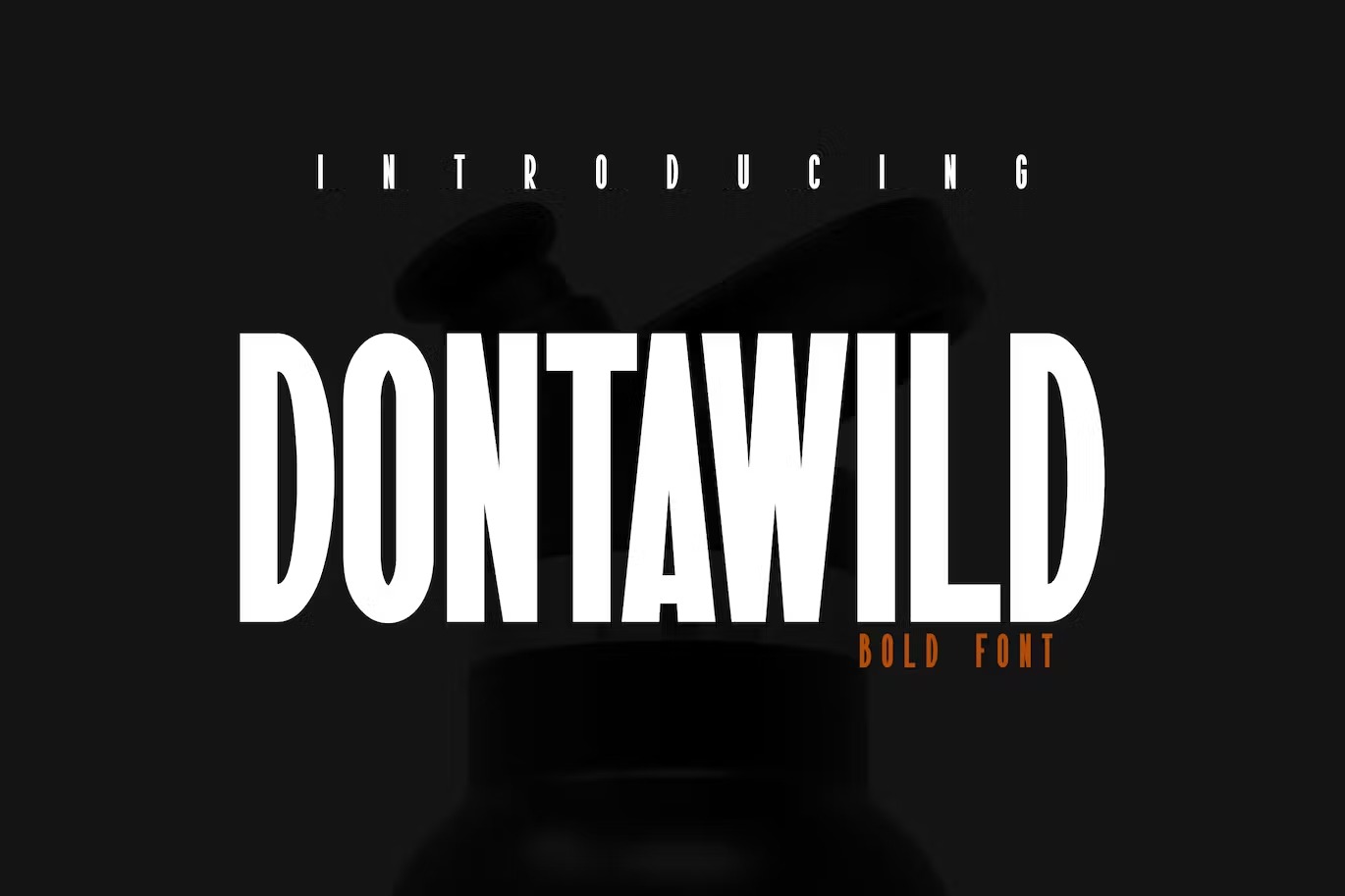 dontawild-font-free-font