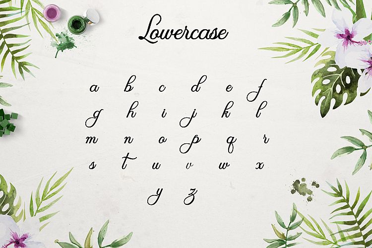 Olivia Script Font - iFonts.xyz