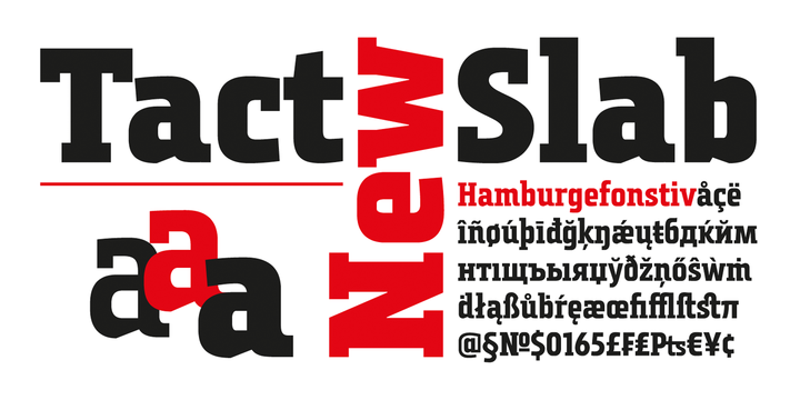 Tact Slab New Font Family