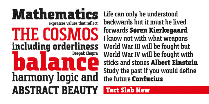Tact Slab New Font Family
