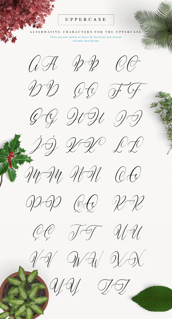 Halosense Script Font