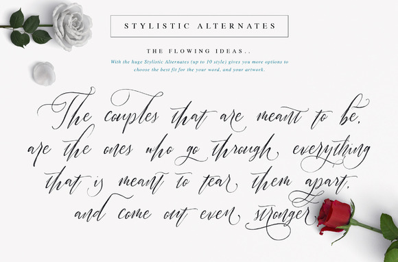 Halosense Script Font