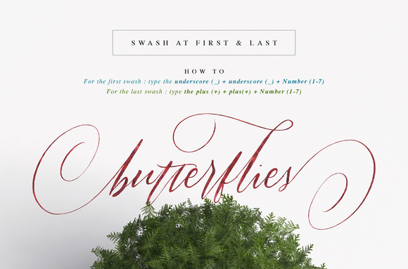 Halosense Script Font