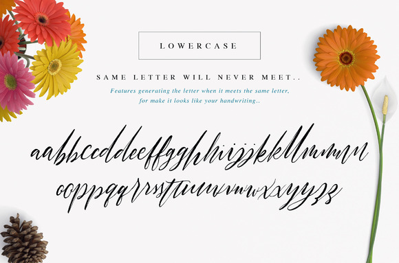 Halosense Script Font