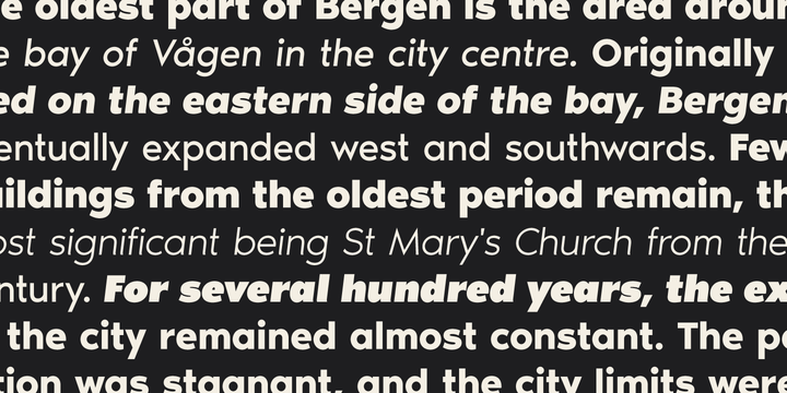Noir Font Family