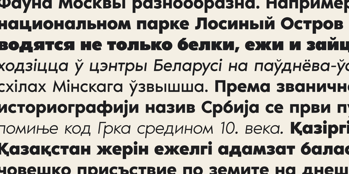 Noir Font Family