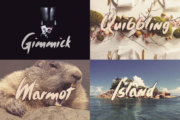 Timothy Brush Typeface Timothy Brush Typeface