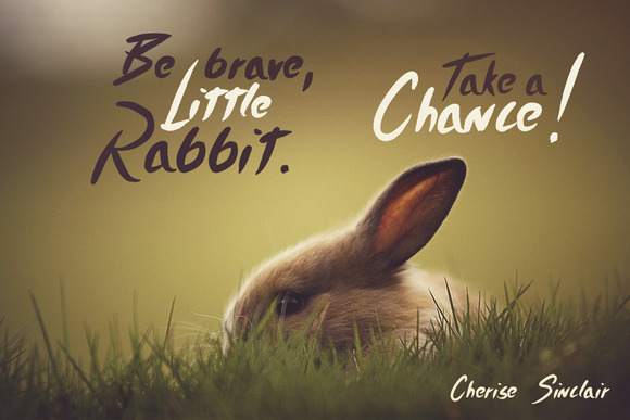 Timothy Brush Typeface Timothy Brush Typeface